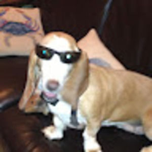 Meet your Posher, Carl